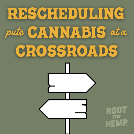 Big Pharma Is Coming for Cannabis—and Schedule III Opened the Door