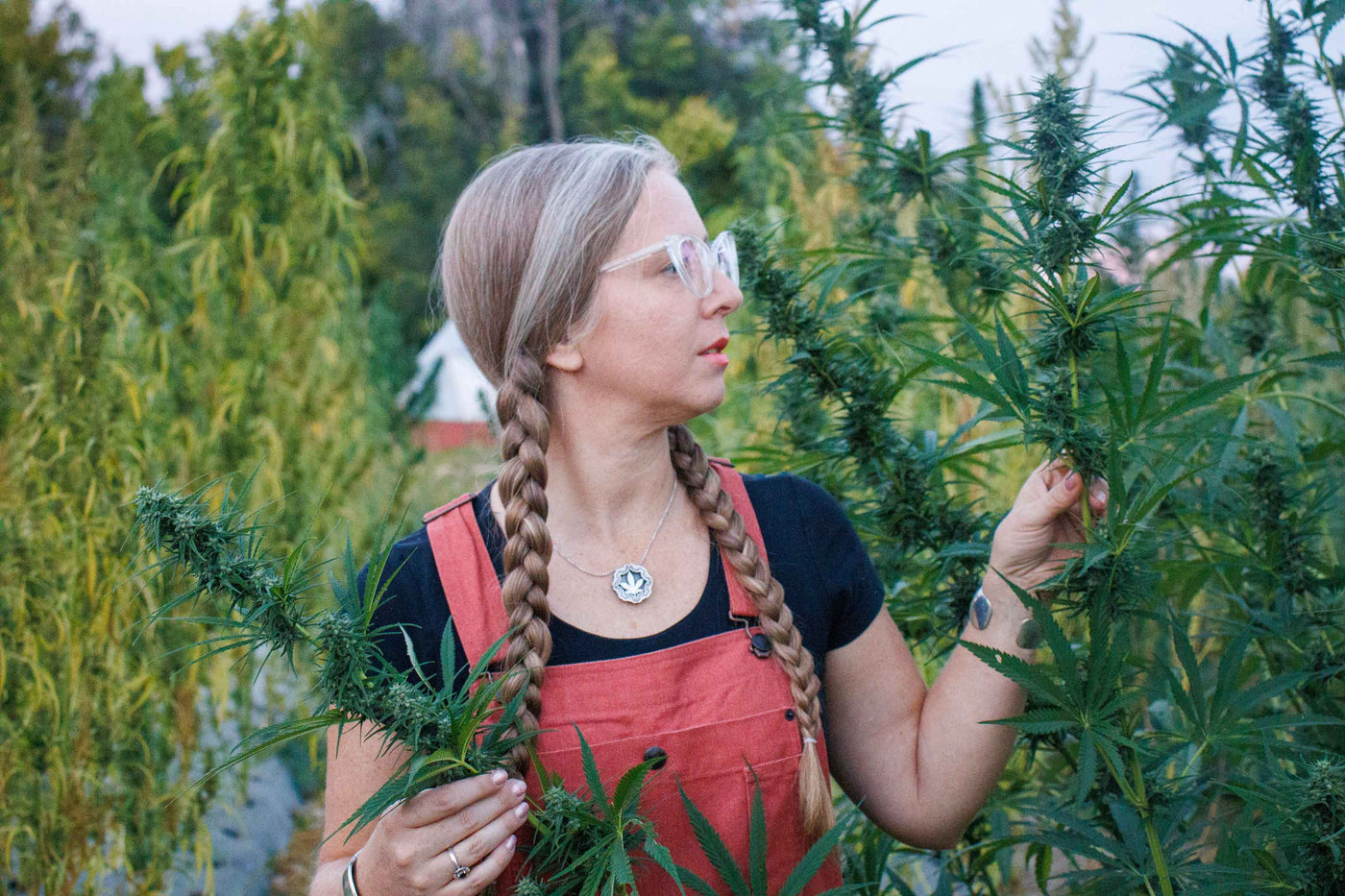 Lauren in a hemp field with hemp stalks in both hands, wearing red overalls, black t-shirt, and glasses.  