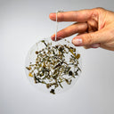 Hand holding a clear circular resin suncatcher with dried herbs against a gray background