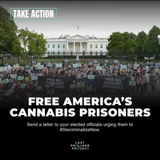 Picture of crowd of advocates in front of US white house.  two large banners are being held by the people with the words "free all cannabis prisoners". Last prisoner project logo is just below picture