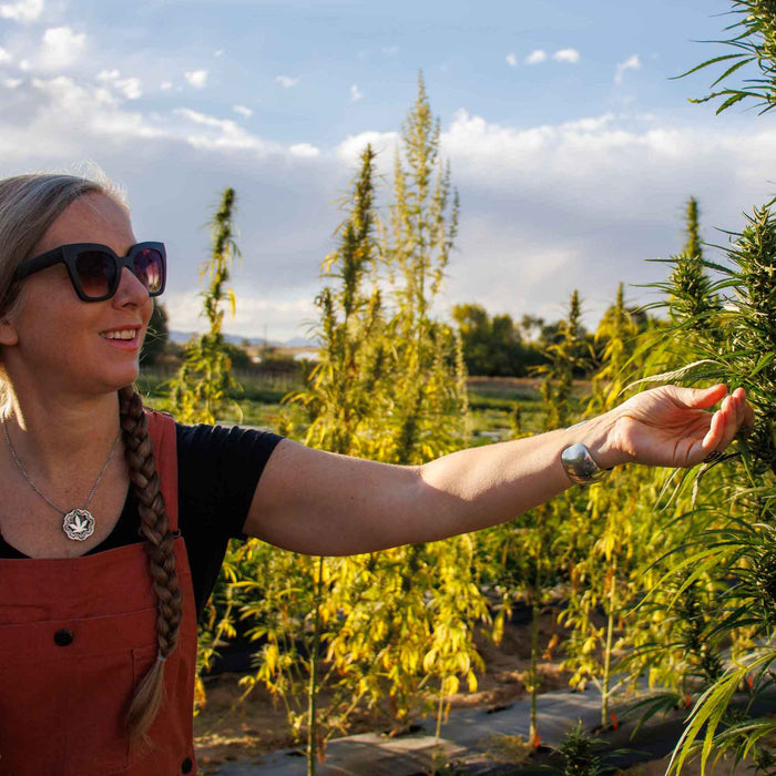 Lauren Gibbs wearing red overalls and black t-shirt.  Her hand is extended reaching out to  a hemp plant.  She is standing in a hemp field