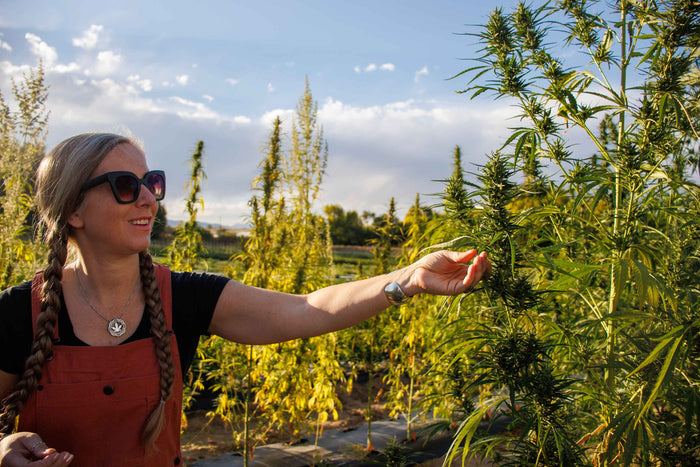 Lauren Gibbs wearing red overalls and black t-shirt.  Her hand is extended reaching out to  a hemp plant.  She is standing in a hemp field