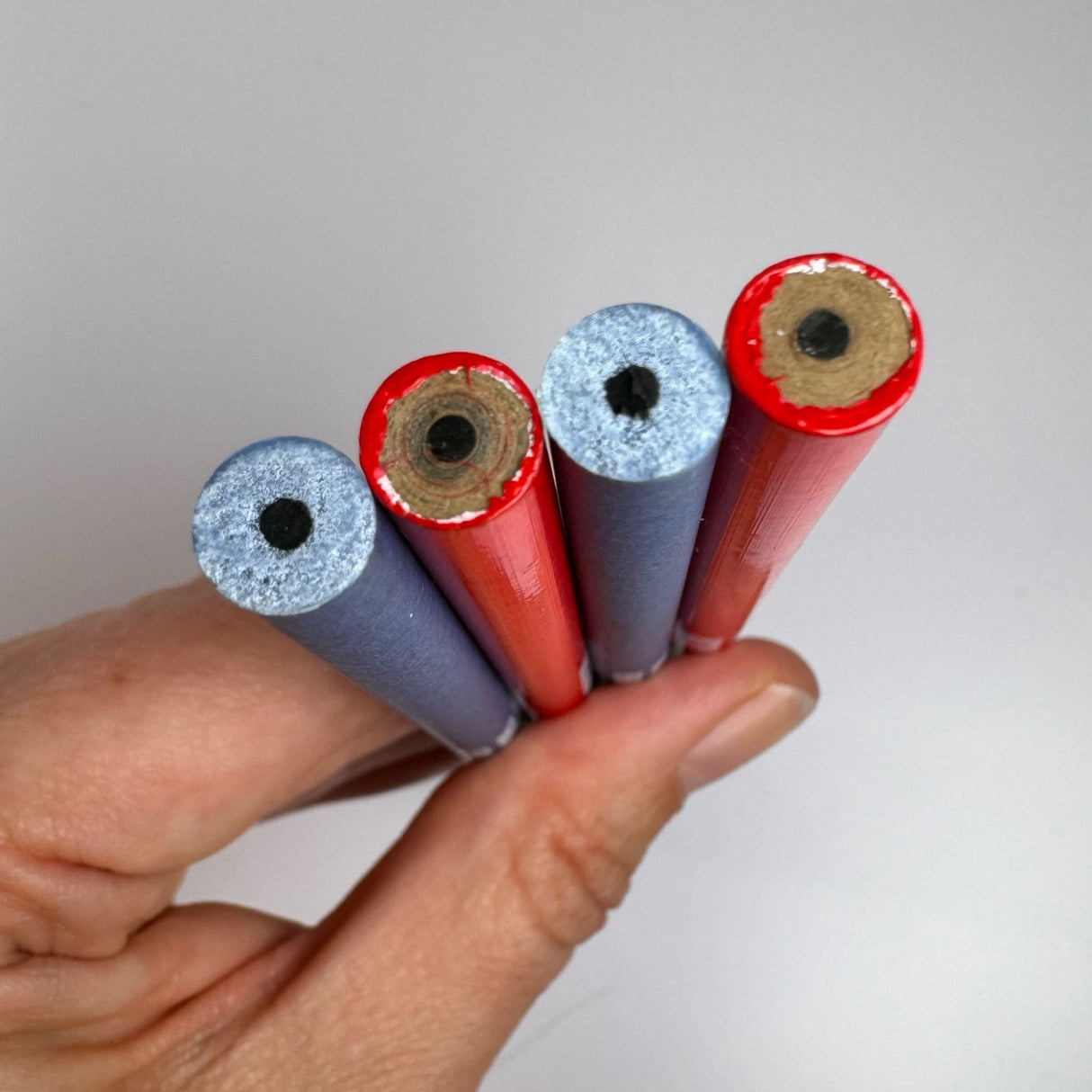 4 new unsharpened pencils - two are blue and two are red.  Pencils are traditional lead pencils.  Held in a hand with a white background